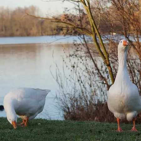 Apartamento Casa Di 2 Heinsberg (North Rhine-Westphalia)