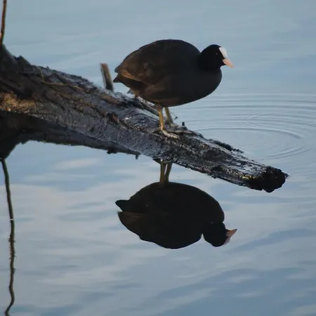 Apartamento Casa Di 2 *