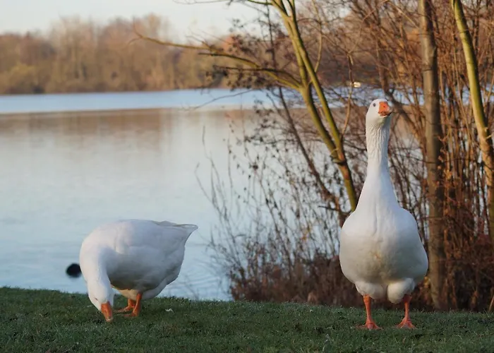 شقة Casa Di 2 هاينسبرغ